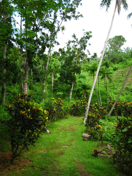 Tavoro-River-Waterfalls-Bouma-Park-Taveuni-Fiji-012