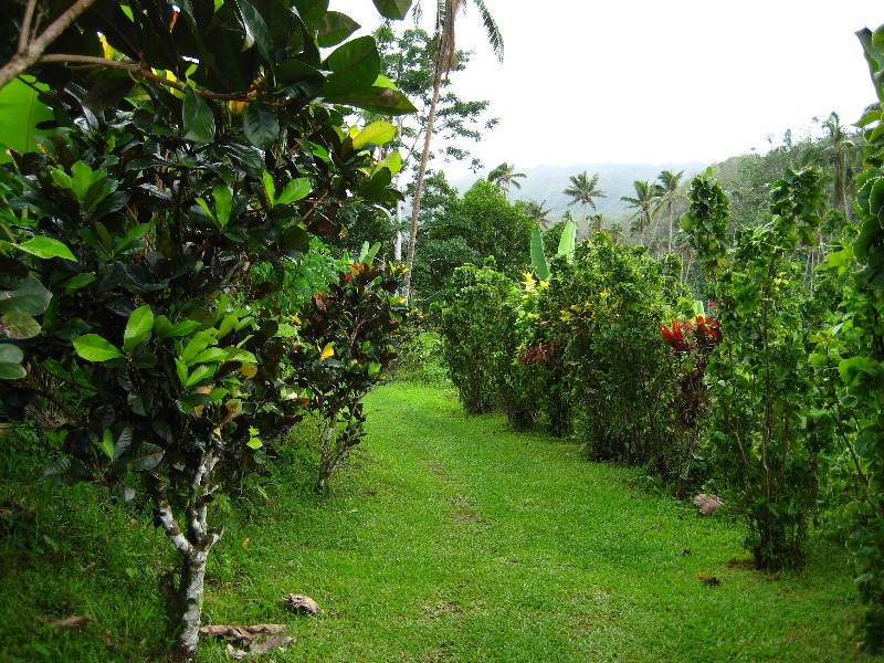 Tavoro-River-Waterfalls-Bouma-Park-Taveuni-Fiji-016