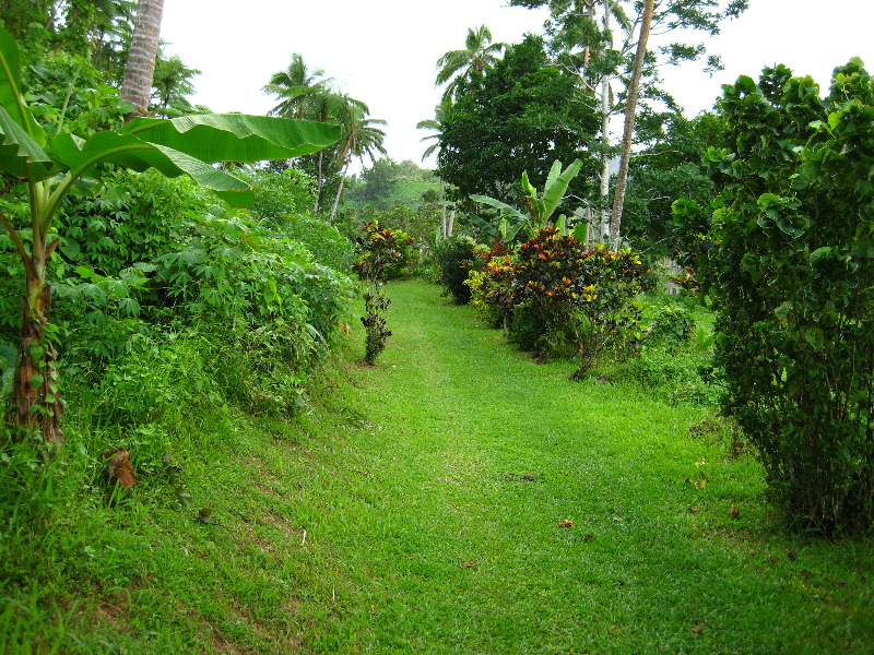 Tavoro-River-Waterfalls-Bouma-Park-Taveuni-Fiji-017