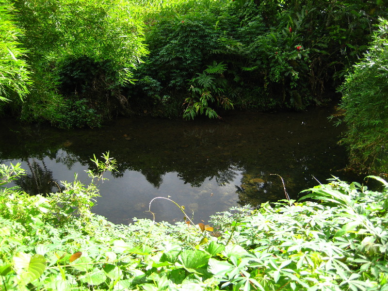 Tavoro-River-Waterfalls-Bouma-Park-Taveuni-Fiji-018