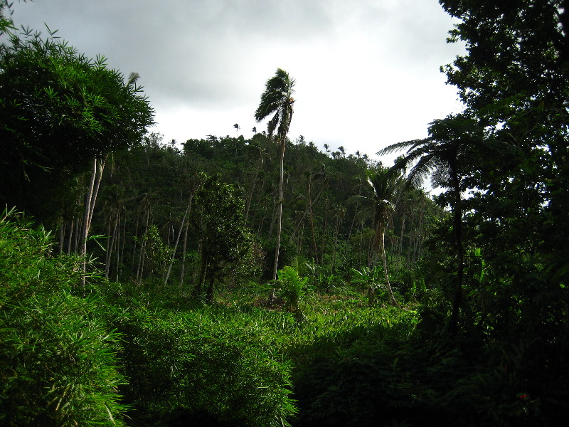 Tavoro-River-Waterfalls-Bouma-Park-Taveuni-Fiji-019