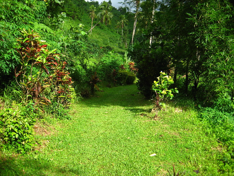 Tavoro-River-Waterfalls-Bouma-Park-Taveuni-Fiji-020