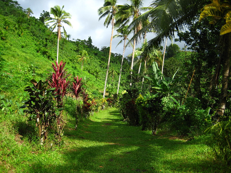 Tavoro-River-Waterfalls-Bouma-Park-Taveuni-Fiji-021