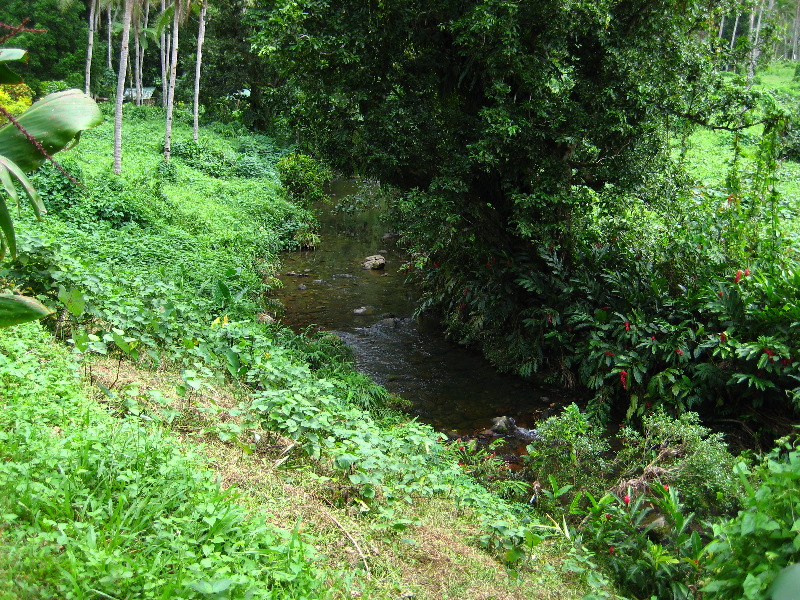 Tavoro-River-Waterfalls-Bouma-Park-Taveuni-Fiji-022