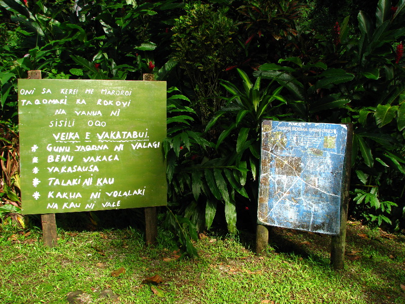 Tavoro-River-Waterfalls-Bouma-Park-Taveuni-Fiji-029