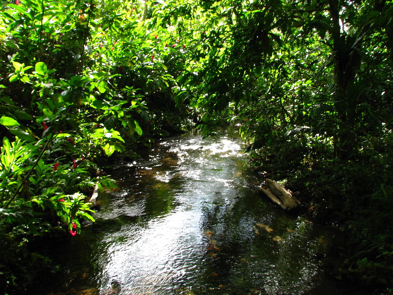 Tavoro-River-Waterfalls-Bouma-Park-Taveuni-Fiji-038