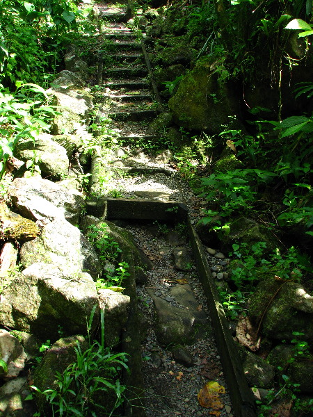 Tavoro-River-Waterfalls-Bouma-Park-Taveuni-Fiji-040