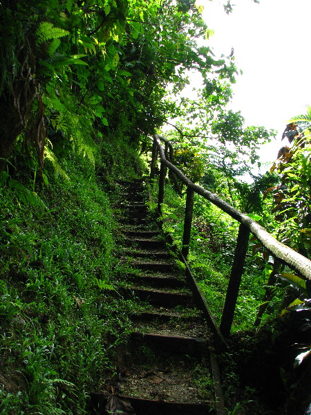 Tavoro-River-Waterfalls-Bouma-Park-Taveuni-Fiji-041