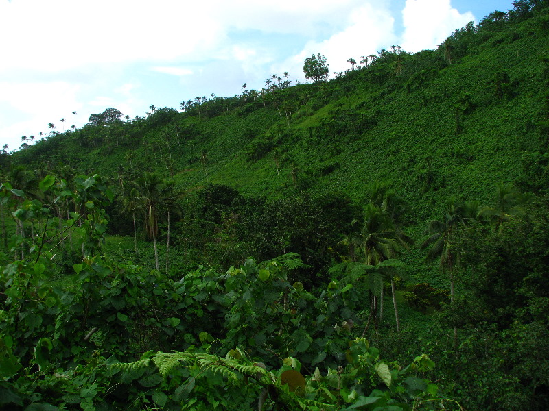 Tavoro-River-Waterfalls-Bouma-Park-Taveuni-Fiji-044