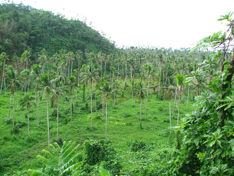 Tavoro-River-Waterfalls-Bouma-Park-Taveuni-Fiji-045