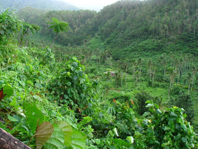 Tavoro-River-Waterfalls-Bouma-Park-Taveuni-Fiji-047