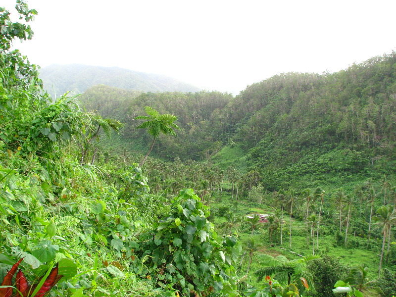 Tavoro-River-Waterfalls-Bouma-Park-Taveuni-Fiji-048