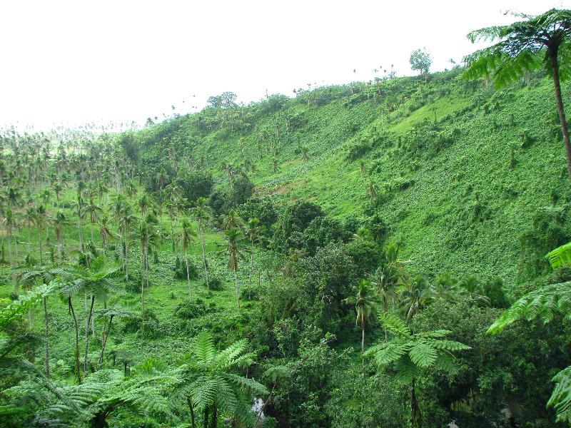 Tavoro-River-Waterfalls-Bouma-Park-Taveuni-Fiji-049