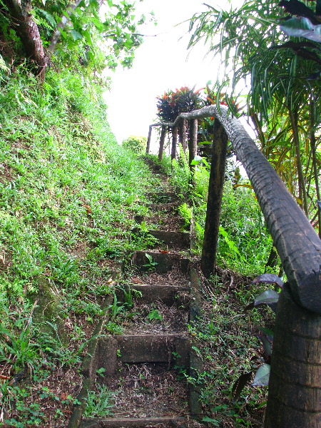 Tavoro-River-Waterfalls-Bouma-Park-Taveuni-Fiji-050