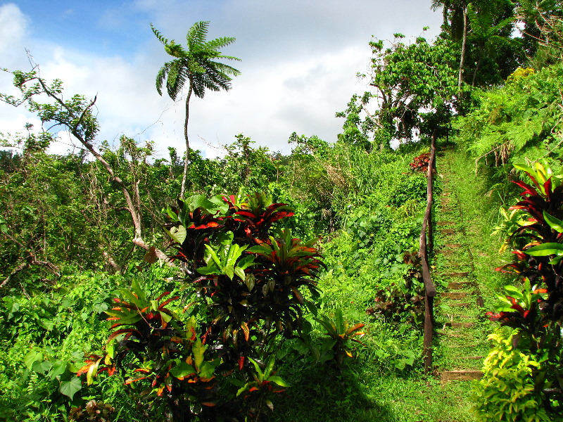 Tavoro-River-Waterfalls-Bouma-Park-Taveuni-Fiji-051