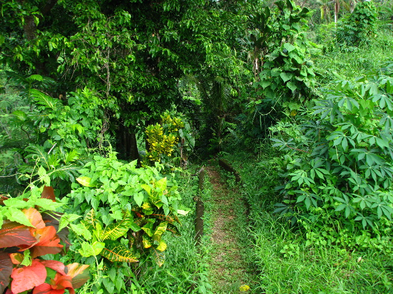 Tavoro-River-Waterfalls-Bouma-Park-Taveuni-Fiji-054