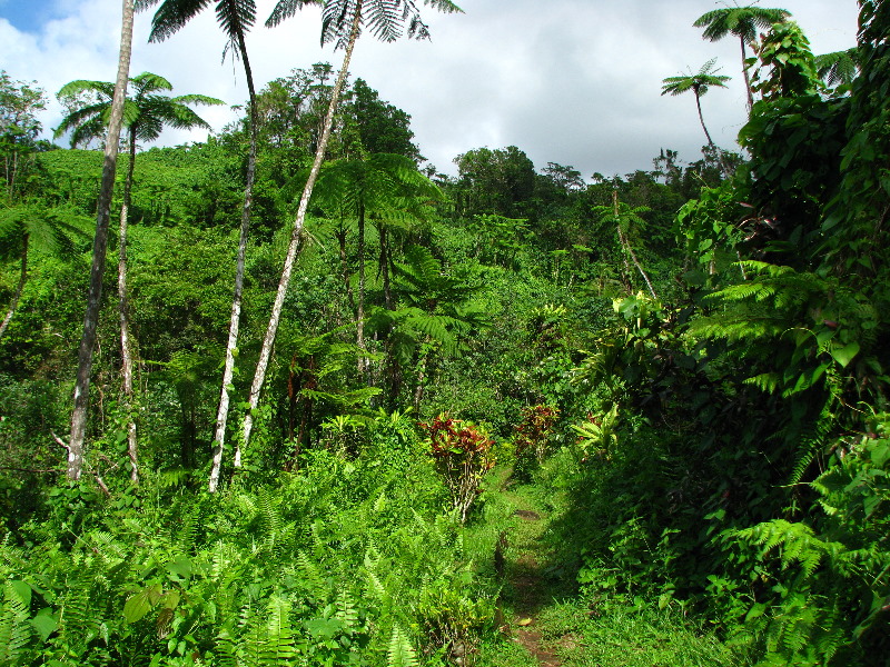 Tavoro-River-Waterfalls-Bouma-Park-Taveuni-Fiji-058