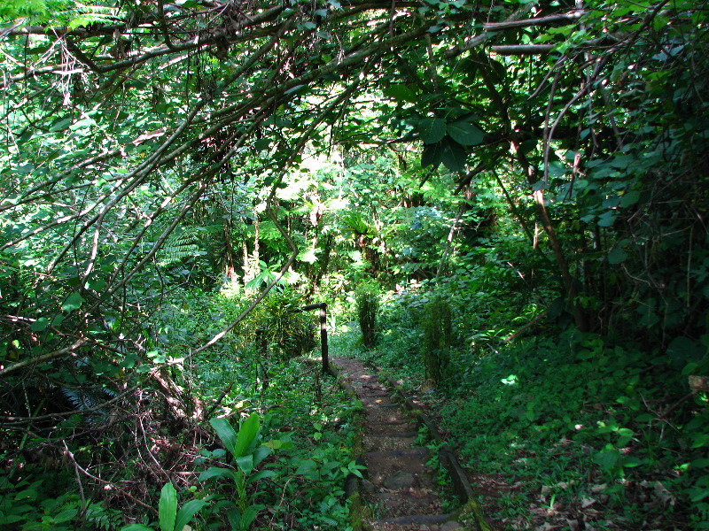 Tavoro-River-Waterfalls-Bouma-Park-Taveuni-Fiji-059