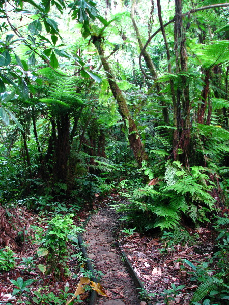 Tavoro-River-Waterfalls-Bouma-Park-Taveuni-Fiji-061