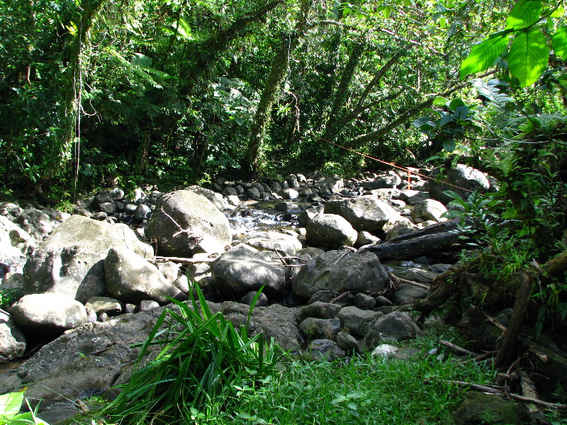 Tavoro-River-Waterfalls-Bouma-Park-Taveuni-Fiji-062
