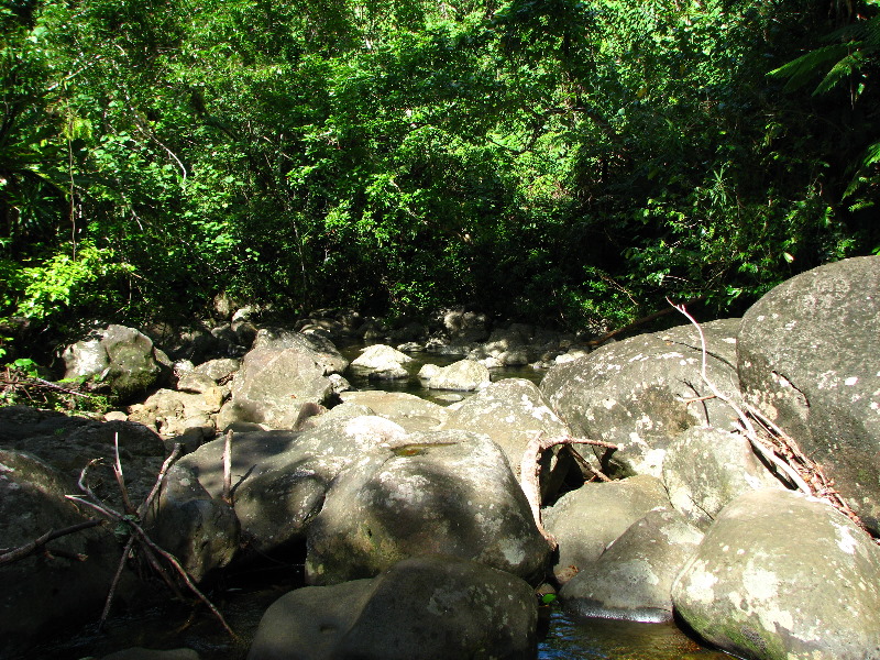 Tavoro-River-Waterfalls-Bouma-Park-Taveuni-Fiji-067