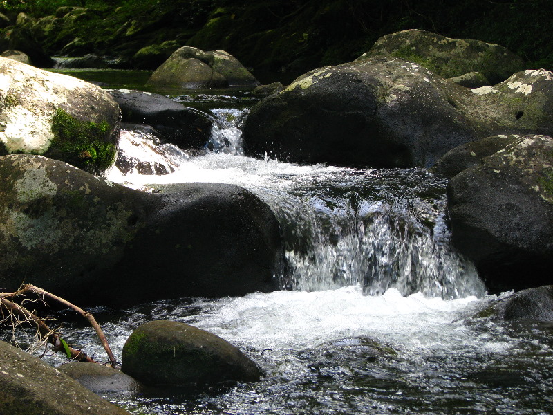 Tavoro-River-Waterfalls-Bouma-Park-Taveuni-Fiji-068