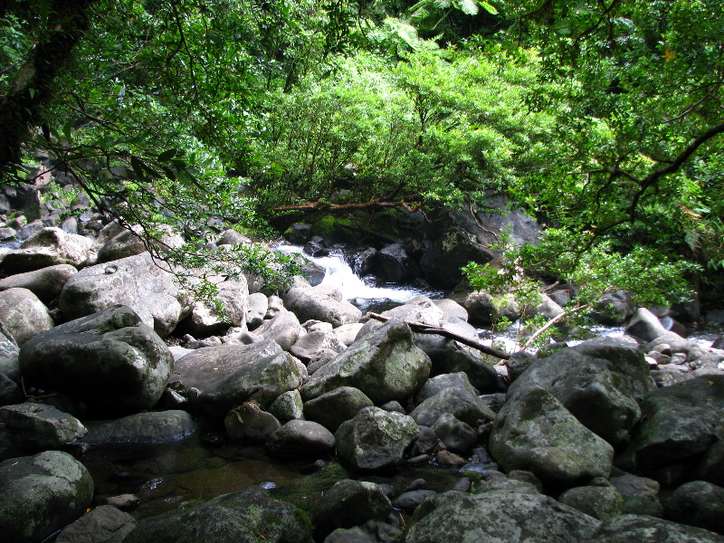 Tavoro-River-Waterfalls-Bouma-Park-Taveuni-Fiji-078