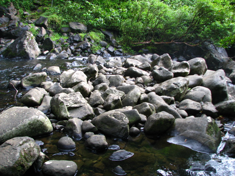 Tavoro-River-Waterfalls-Bouma-Park-Taveuni-Fiji-083