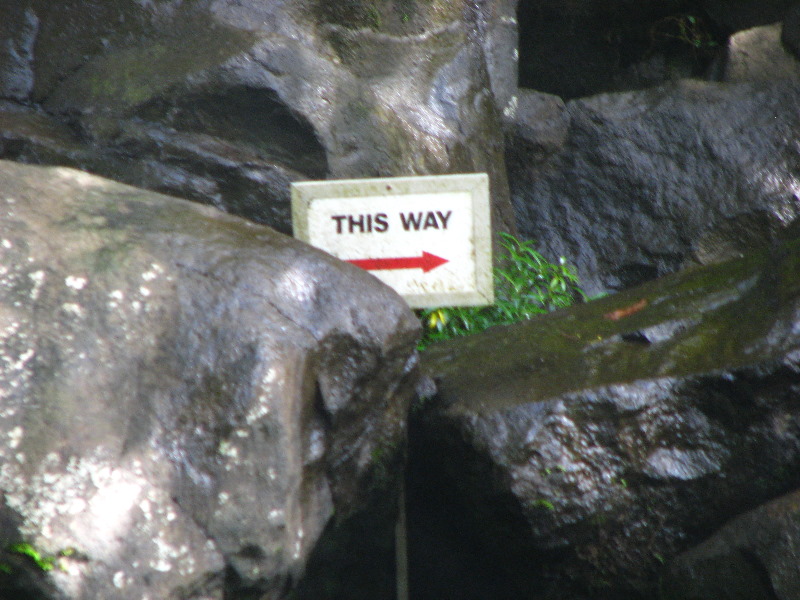 Tavoro-River-Waterfalls-Bouma-Park-Taveuni-Fiji-089