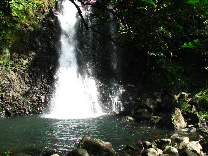 Tavoro-River-Waterfalls-Bouma-Park-Taveuni-Fiji-090