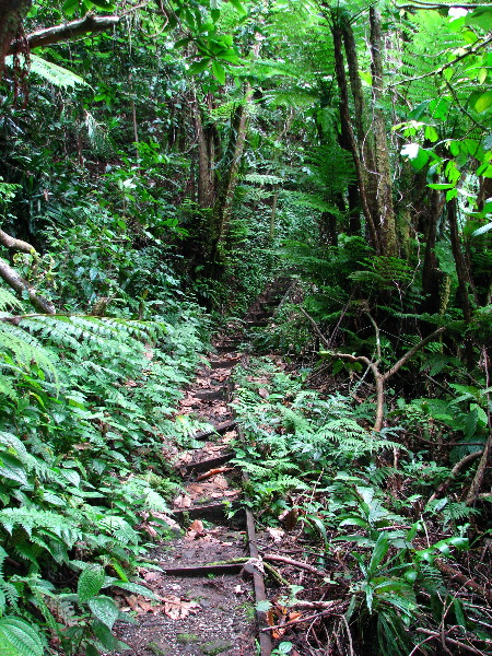 Tavoro-River-Waterfalls-Bouma-Park-Taveuni-Fiji-122