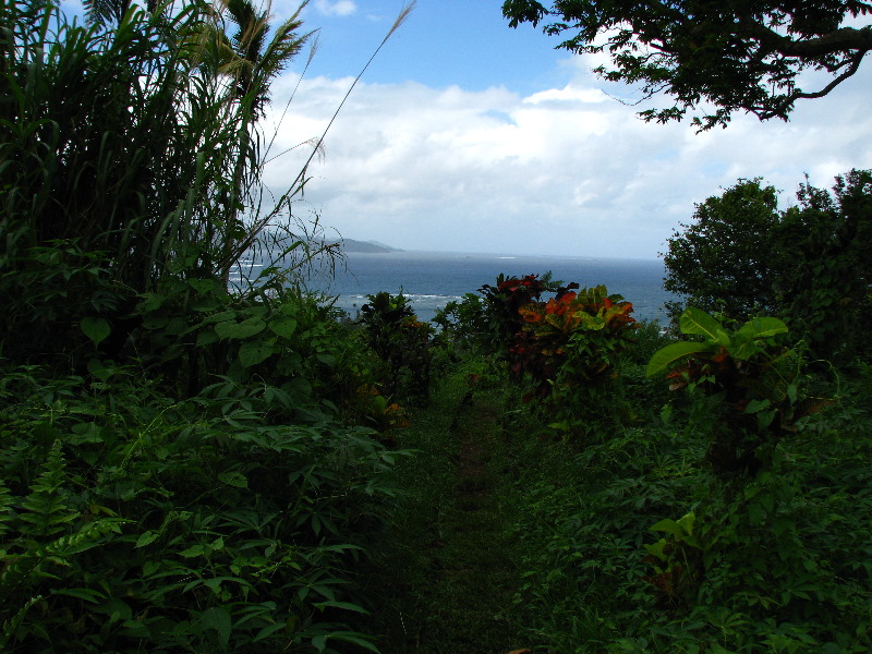 Tavoro-River-Waterfalls-Bouma-Park-Taveuni-Fiji-130