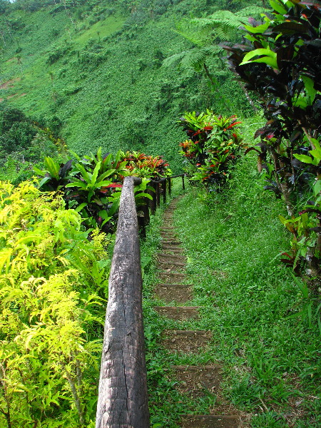 Tavoro-River-Waterfalls-Bouma-Park-Taveuni-Fiji-132