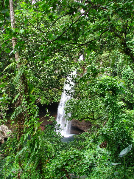 Tavoro-River-Waterfalls-Bouma-Park-Taveuni-Fiji-136