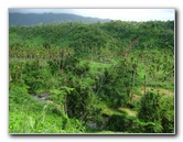 Tavoro-River-Waterfalls-Bouma-Park-Taveuni-Fiji-002