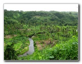 Tavoro-River-Waterfalls-Bouma-Park-Taveuni-Fiji-004