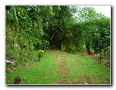 Tavoro-River-Waterfalls-Bouma-Park-Taveuni-Fiji-010