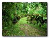 Tavoro-River-Waterfalls-Bouma-Park-Taveuni-Fiji-011