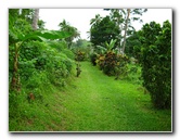 Tavoro-River-Waterfalls-Bouma-Park-Taveuni-Fiji-017