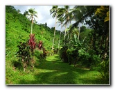 Tavoro-River-Waterfalls-Bouma-Park-Taveuni-Fiji-021