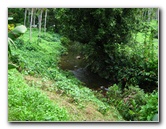 Tavoro-River-Waterfalls-Bouma-Park-Taveuni-Fiji-022