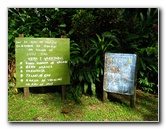 Tavoro-River-Waterfalls-Bouma-Park-Taveuni-Fiji-029