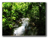 Tavoro-River-Waterfalls-Bouma-Park-Taveuni-Fiji-038