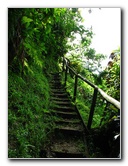 Tavoro-River-Waterfalls-Bouma-Park-Taveuni-Fiji-041