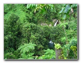 Tavoro-River-Waterfalls-Bouma-Park-Taveuni-Fiji-042