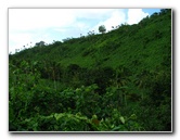 Tavoro-River-Waterfalls-Bouma-Park-Taveuni-Fiji-044