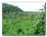 Tavoro-River-Waterfalls-Bouma-Park-Taveuni-Fiji-045