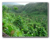 Tavoro-River-Waterfalls-Bouma-Park-Taveuni-Fiji-047