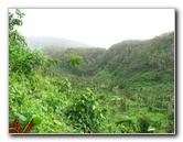 Tavoro-River-Waterfalls-Bouma-Park-Taveuni-Fiji-048