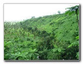 Tavoro-River-Waterfalls-Bouma-Park-Taveuni-Fiji-049